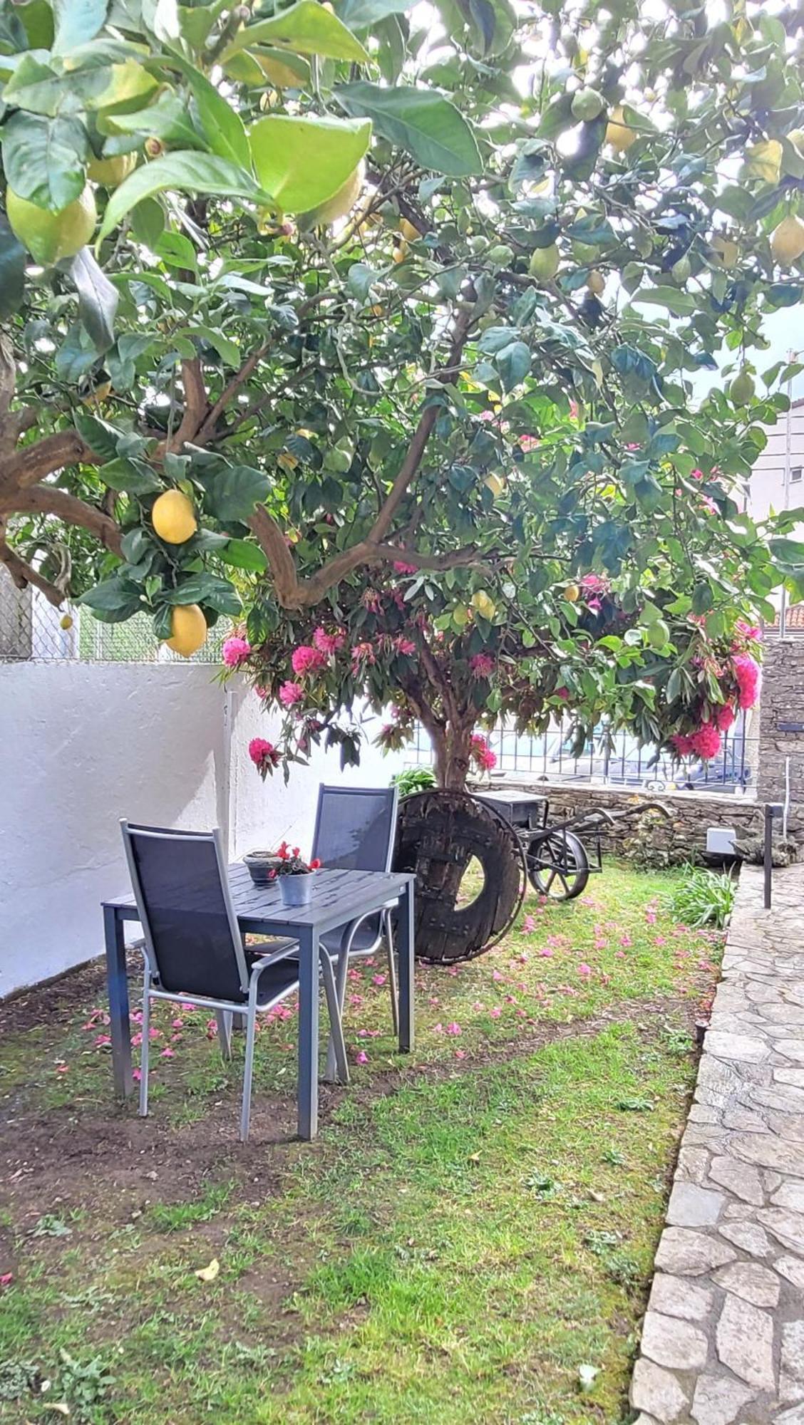 Besbello Suites Apartamento Santiago de Compostela Ngoại thất bức ảnh