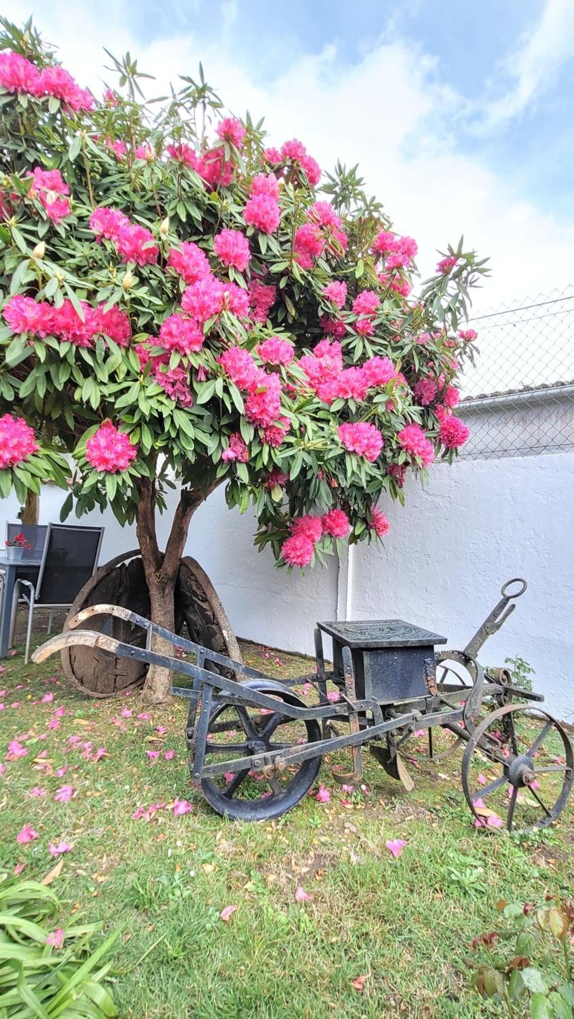 Besbello Suites Apartamento Santiago de Compostela Ngoại thất bức ảnh