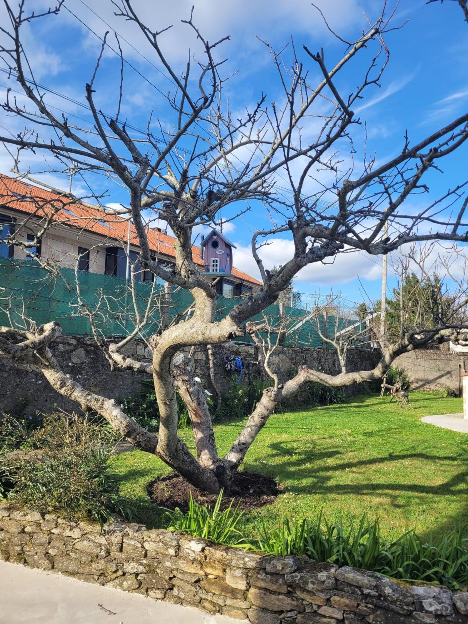 Besbello Suites Apartamento Santiago de Compostela Ngoại thất bức ảnh